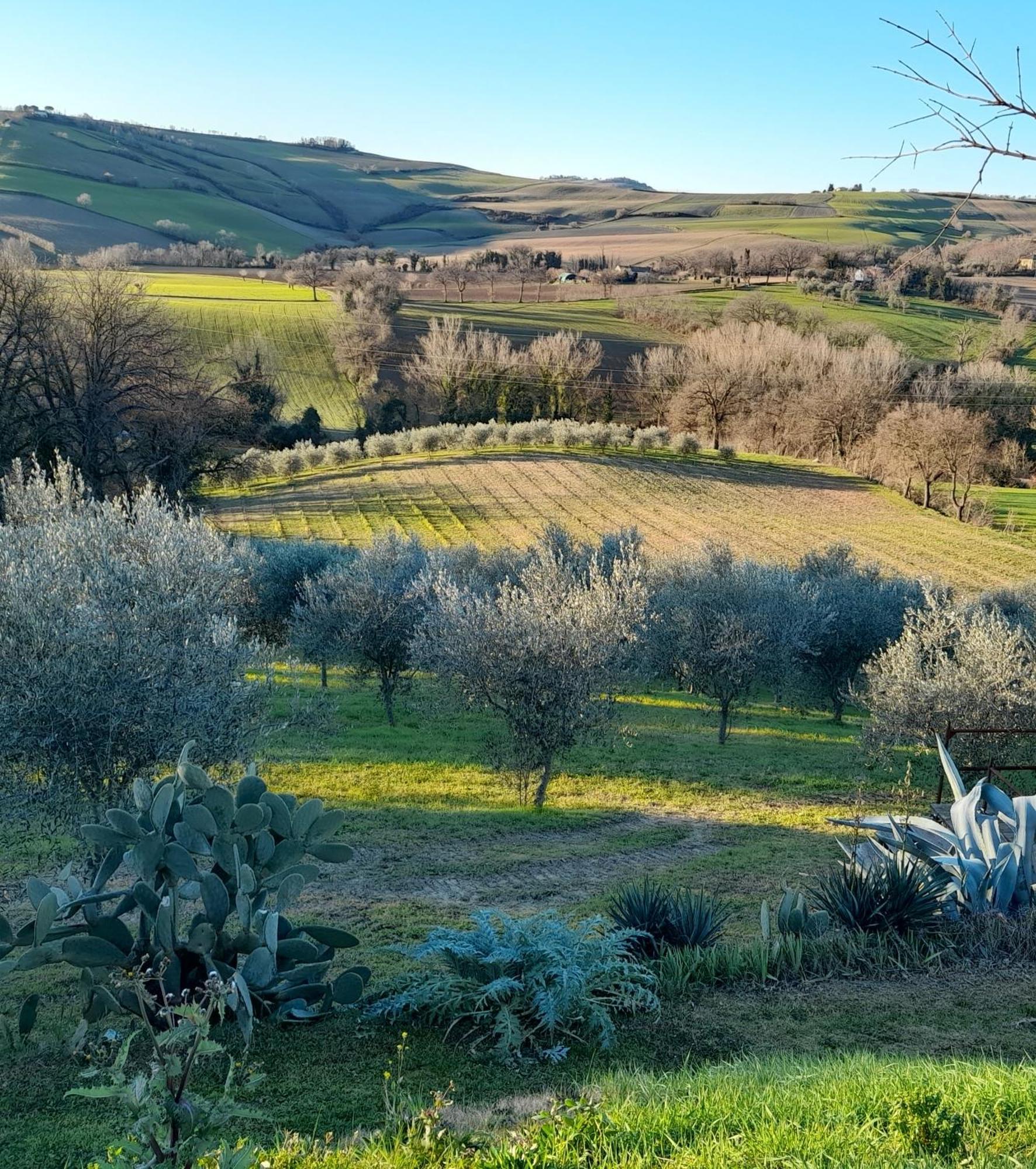 La Luna Nell'Orto-Casa Vacanza Ecologica E Agricoltura Biodinamica Barchi Exterior foto